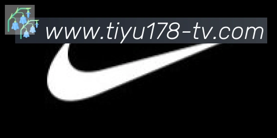 178体育直播合作伙伴